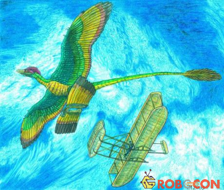 Có thể loài khủng long Microraptor đã bay lên cây để săn chim