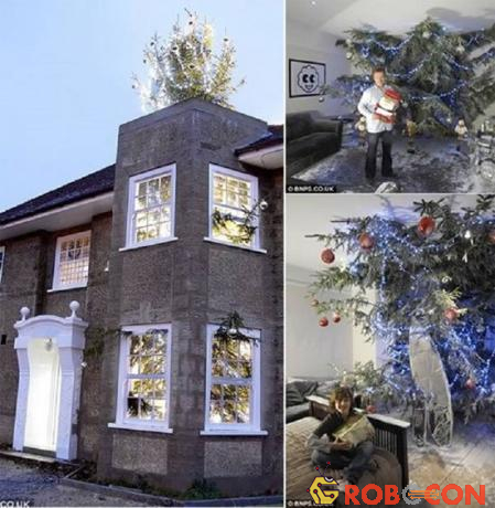 Cây thông khổng lồ xuyên mái nhà là món quà Giáng sinh đặc biệt mà ông bố đơn thân ở Anh tặng cho 3 đứa con.