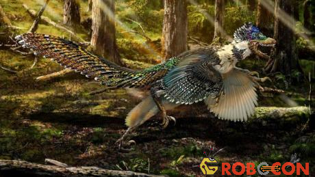 Loài khủng long này không biết bay và cánh dùng để thực hiện các chức năng khác