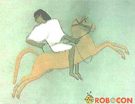 Cưỡi ngựa với người Ai Cập không hẳn chỉ là để sử dụng cho chiến đấu. Người Ai Cập cổ đại đã tổ chức rất nhiều cuộc đua ngựa cho thanh thiếu niên. Họ ngồi trên lưng ngựa không yên và phải hoàn toàn kiểm soát con ngựa đua của mình.