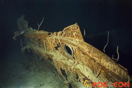 Tại đáy biển nơi xác tàu Titanic chìm, độ mặn của nước là khoảng 3,5%, một điều kiện thuận lợi cho các vi khuẩn tồn tại