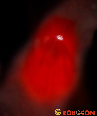 Hình mô tả được công bố tháng 6 năm 2009 thể hiện cái nhìn toàn cảnh về giọt vũ trụ, bao quanh một thiên hà xoắn ốc trong đám mây bụi màu đỏ tươi.