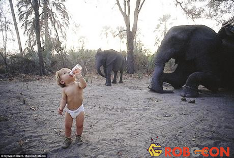 Một tuổi rưỡi, mẹ của Tippi chụp ảnh con đang uống sữa giữa một đàn voi ở Botswana