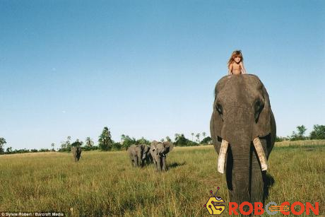 Mẹ của em đã chụp bức ảnh này khi Tippi cưỡi trên đỉnh đầu của chú voi Abu ở Botswana