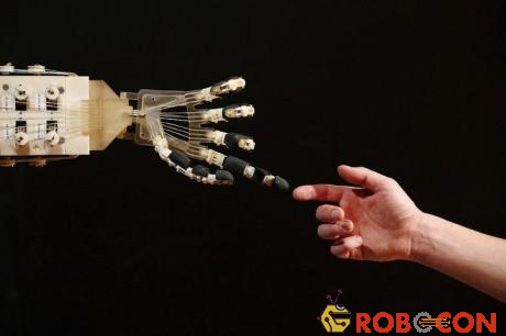 Bàn tay này – được gọi tên là Gentle Bot (Robot nhẹ nhàng).