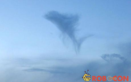 Đám mây trên bầu trời Sausalito, California, Mỹ rất giống một chú cá heo.
