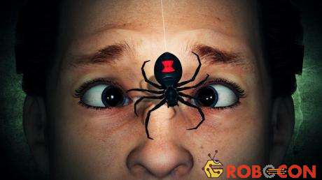 Nhện góa phụ đen là loại nhện độc nhất thế giới.