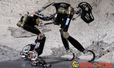 Mẫu robot vượn thám hiểm mặt trăng do Trung tâm Nghiên cứu Trí tuệ Nhân tạo của Đức phát triển.