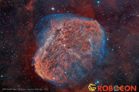 Tinh vân Lưỡi Liềm được tạo nên bởi lớp khí bụi bao quanh một ngôi sao rất sáng ở tâm. Một giả thuyết cho rằng tinh vân này được hình thành cách đây 250.000 năm.