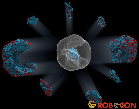 Bản hợp thể 3D của 6,569 nguyên tử sắt và 16,627 nguyên tử bạch kim trong một hạt nano sắt – bạch kim.