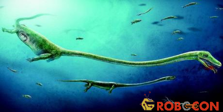 Thủy quái mới tìm thấy có cổ dài 2 mét và sống trước khủng long.