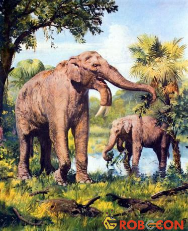 Loài Deinotherium có hình dáng giống voi ngày nay nhưng to lớn hơn và đặc biệt có cặp ngà mọc ở cằm.