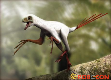 Loài Epidexipteryx không có cánh mà lại có tới 4 chiếc lông đuôi.