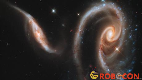 Tấm ảnh cuối, cũng để mừng sinh nhật thứ 21 của Hubble, có tên Bông hồng của các thiên hà (Rose of Galaxies) được lấy cảm hứng từ hình ảnh xoắn ốc tựa như hoa hồng của một số thiên hà.