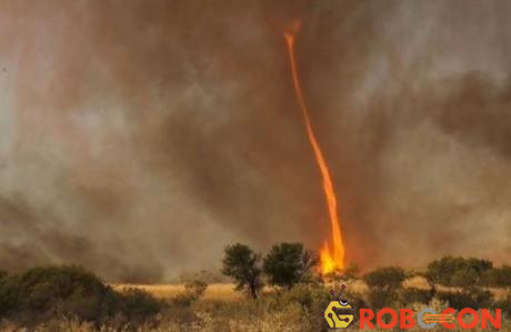 Lốc lửa là một trong những hiện tượng thiên nhiên vô cùng hiếm gặp.