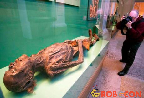 Cả hai xác ướp hiện đang được trưng bày ở bảo tàng Hermitage, Nga