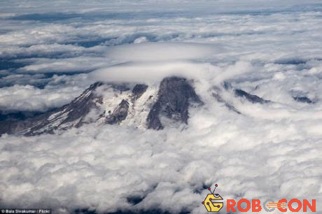 Núi Rainier ở Washington, Mỹ, nằm giữa biển mây trắng xóa cùng một đám mây hình thấu kính trên đỉnh.