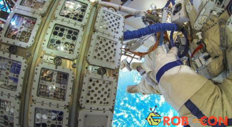 Thí nghiệm trong dự án BIOMEX, đưa sinh vật sống ra ngoài không gian.