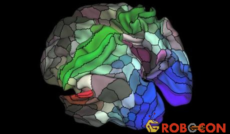 Bản đồ não bộ mới với 180 vùng, trong đó có 97 vùng chưa từng được biết đến trước đây