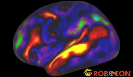 Ảnh chụp não bộ cho thấy các vùng đang hoạt động (màu đỏ) khi người tham gia nghiên cứu được nghe đọc truyện.