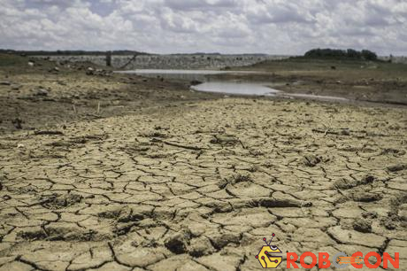 El Nino khiến đất đai khô hạn, thiếu nước ngọt