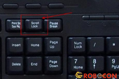 Phím Scroll Lock được thiết kế để khóa tất cả các kỹ thuật cuộn màn hình.