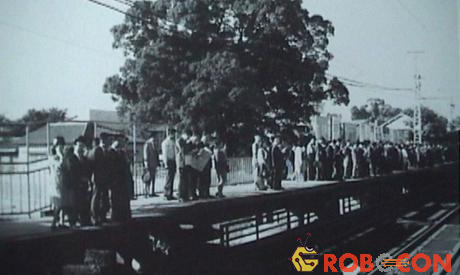 Khi ga Kayashima đi vào hoạt động vào năm 1910, cây long não đã ở đó che nắng mưa cho hành khách. 60 năm sau, chính phủ quyết định mở rộng nhà ga để phục vụ nhu cầu đi lại ngày càng tăng của người dân. Năm 1972, kế hoạch xây dựng được thông qua kèm theo điều khoản cây long não sẽ bị đốn hạ. 