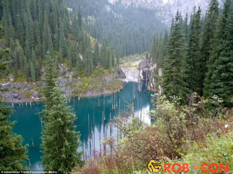 Hồ Kaindy nổi tiếng vì phong cảnh xung quanh rất đẹp, đặc biệt khu vực rừng ngập nước.