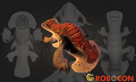 Động vật sống trên hệ sao lùn đỏ có lớp vỏ bọc giáp để bảo vệ cơ thể. 