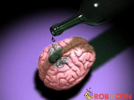 Sử dụng nhiều rượu, bia sẽ ảnh hưởng trực tiếp đến não bộ.