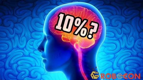 Con người chỉ sử dụng 10% bộ não, điều này liệu có đúng không?