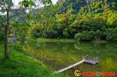 Việt Nam có nhiều khu rừng nguyên sinh tuyệt đẹp
