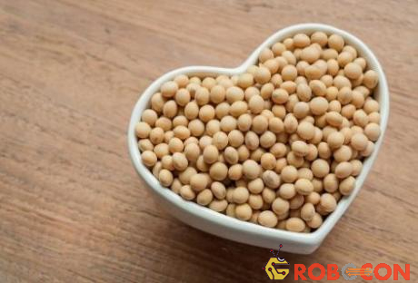 Đậu nành là loại hạt chứa nhiều dinh dưỡng tốt cho cơ thể
