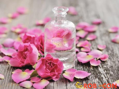 Quy trình chăm sóc da hàng ngày nên sử dụng nước hoa hồng sau khi rửa mặt