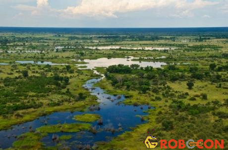 Đồng bằng Okavango với hàng ngàn loài động thực vật