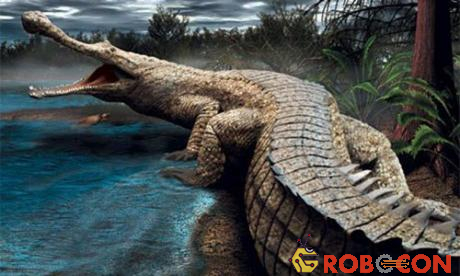 Sarcosuchus không phải là tổ tiên trực tiếp của cá sấu hiện đại.