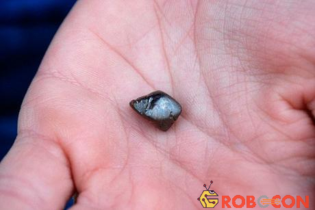 Viên kim cương có kích cỡ hạt đậu và mang màu hạt cà phê lạ mắt. Trông nó không khác gì mấy những viên đá cuội thông thường.