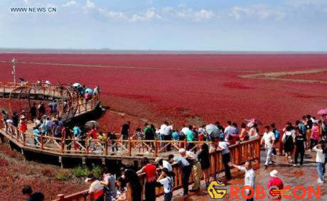 Biển đỏ thu hút du khách tham quan