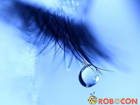 Mỗi loại nước mắt đều có chức năng khác nhau và đều vô cùng quan trọng.