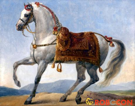 Marengo là con ngựa chiến nổi tiếng của hoàng đế Pháp Napoleon Bonaparte.