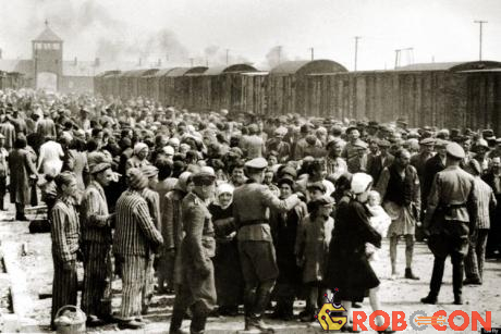 Theo thống kê, số lượng người chết trong trại tập trung Auschwitz lớn hơn tổng số người thương vong ở Mỹ và Anh cộng lại trong Chiến tranh thế giới 2.