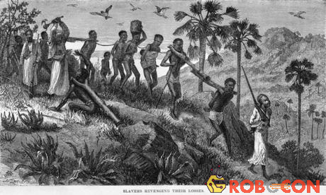 Hơn 1 triệu người châu Âu bị bắt và bán làm nô lệ tới Bắc Phi trong giai đoạn từ năm 1530 - 1780.