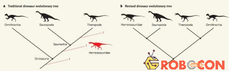 Cây phả hệ của loài khủng long: truyền thống (trái), được viết lại (phải). 