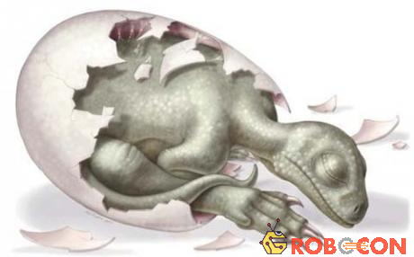 Một trong những nguyên nhân tuyệt chủng của khủng long là do thời gian trứng nở rất dài.