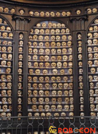 15 bức ảnh kinh hoàng về những bộ xương người trên thế giới