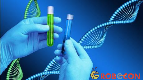 ADN lưu giữ và bảo quản thông tin di truyền 