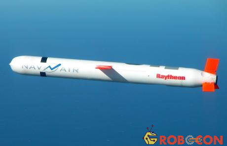 Tên lửa hành trình về cơ bản là một chiếc máy bay nhỏ và không có người lái.