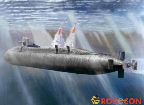 Tên lửa hành trình có một số biến thể và có thể được phóng từ tàu ngầm, tàu khu trục hoặc máy bay.