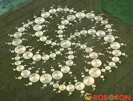 Chữ Vạn (卍) xoay tròn tạo hình xoắn ốc. Tác phẩm bí ẩn trên ruộng lúa mỳ.