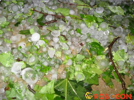 Mưa đá là hiện tượng mưa dưới dạng hạt hoặc cục băng
